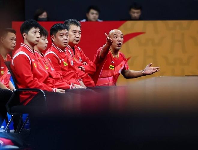 法国队横扫葡萄牙队，张继科高光表现的简单介绍